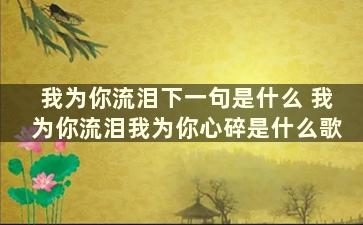 我为你流泪下一句是什么 我为你流泪我为你心碎是什么歌